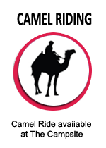 camel-riding-desert-safari